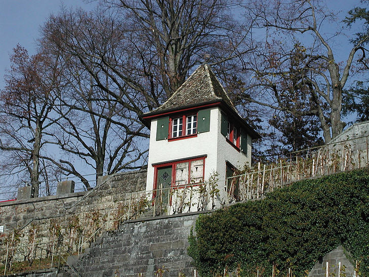 Rapperswil-jona, Castle hill, Schweiz, Se, natur, søen, Fjern Se