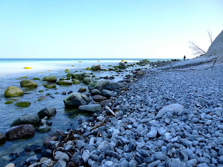 Baltijos jūros, paplūdimys, akmenys, pakrantė, Danija, Møns klint