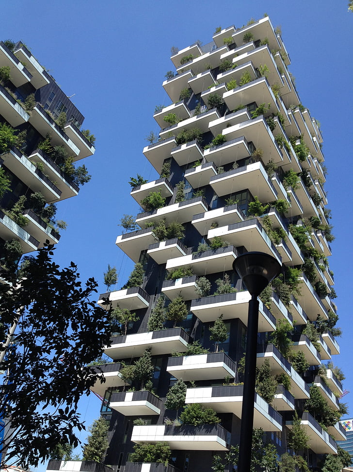 bosc vertical, Milà, illa