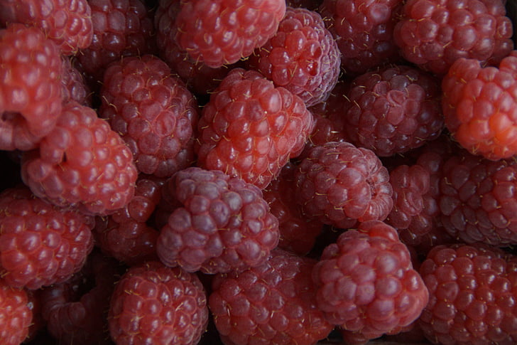 berries, raspberries, red, structure, texture, background, fruits