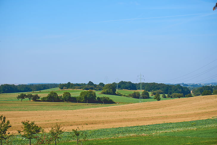 countryside, crop, cropland, farm, field, grass, grassland
