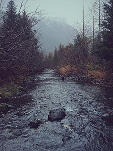 nehir, dağlar, doğa, manzara, su, Orman, Açık