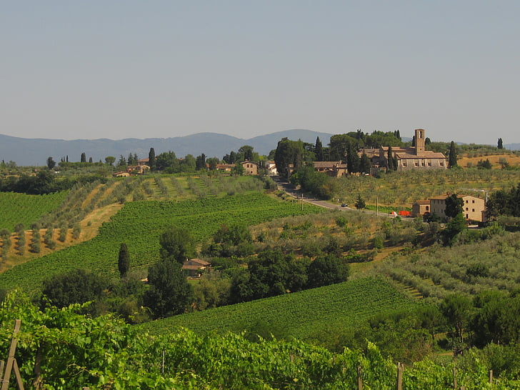 Toskánsko, poľnohospodárstvo, vinohradnícka, olivy, vinice, vinič, Príroda