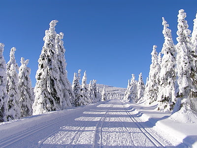 冬, 山, 巨大な山, 雪, 低温, 自然, 白い色