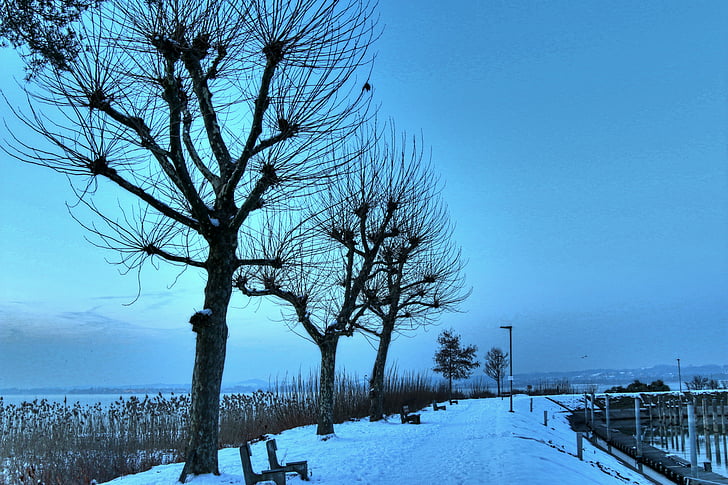 het Bodenmeer, Bregenz, winter, poort, koude natuur, avond, Oostenrijk