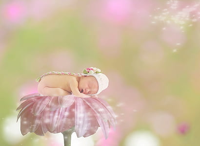 μωρό, Ζέρμπερα, θηλυκό, Κορίτσι, bokeh, ροζ, ύπνος