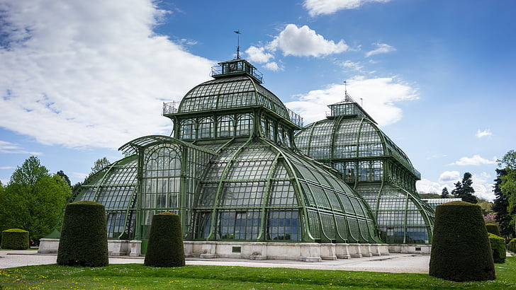 palmenhaus, Schönbrunn, Wien, Viedeň, oceľ, sklo, palmery