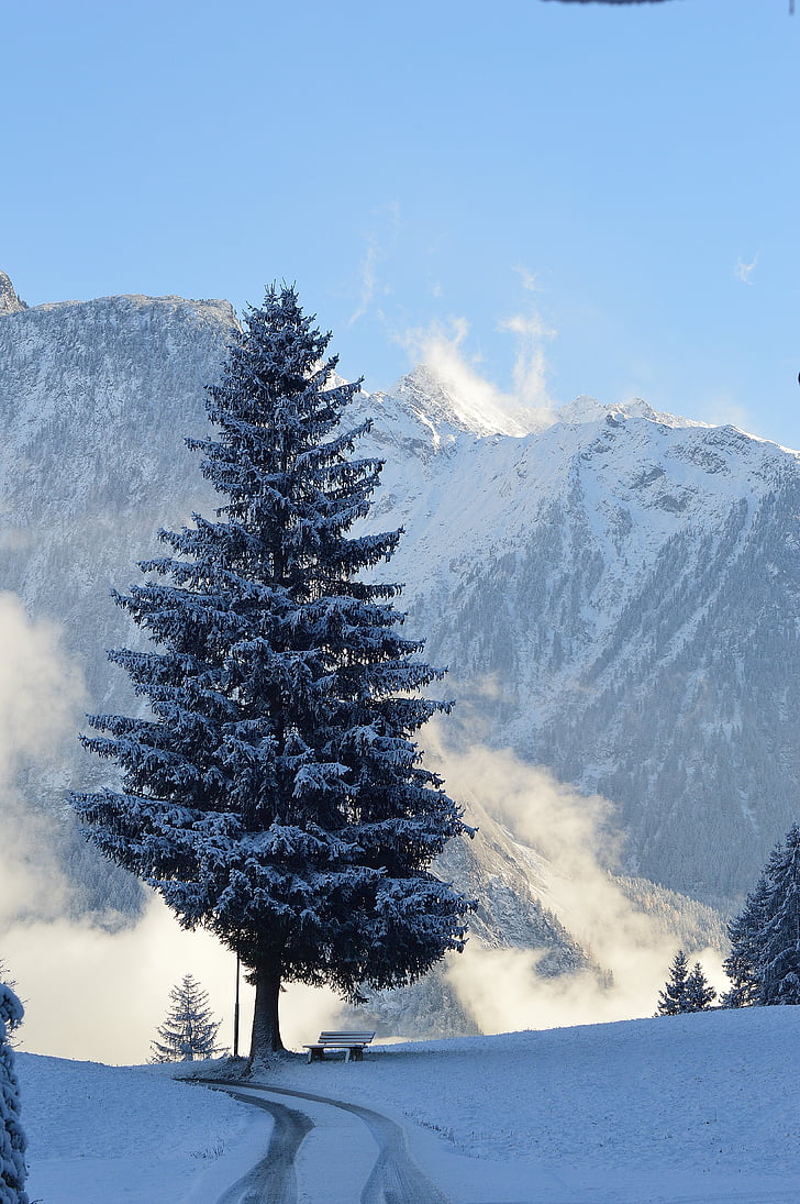 pozimi, sneg, mestu Sautens, haderlehn, Tirolska, Avstrija, zimski
