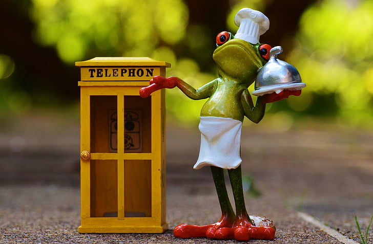 frog, cooking, eat, order, by phone, pizzaexpress, phone booth