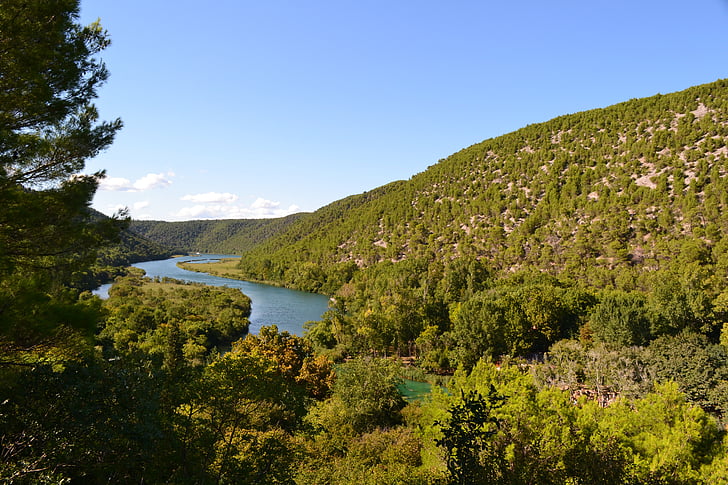 Croatie (Hrvatska), Krk, nature, vert, la réserve naturelle, paysage, arbre