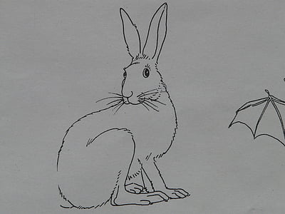 野兔, 动物, 着色页, 油漆, 绘制, 签名模板, 绘图