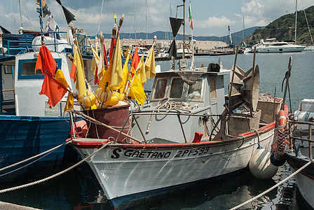 port, fiskebåter, flyter, fisker, Marin