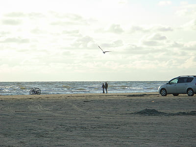 Mar Báltico, Dinamarca, mar, Seagull, Playa de Hamilton, bicicleta, Playa