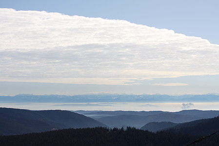 alpino, foresta nera, Panorama, Feldberg, Svizzera, Asciugacapelli, vista in lontananza