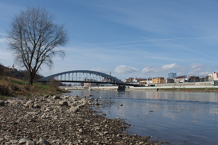 Bridge, träd, Panorama, Ústí nad labem, Elbe