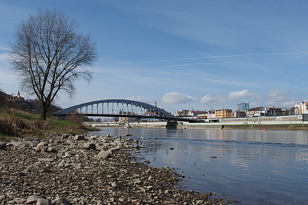 pont, arbre, Panorama, Ústí nad labem, Elbe