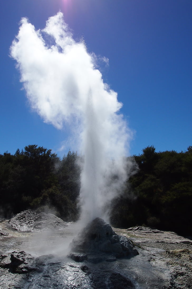 rotorua, geyser, new zealand, detergent, hot source, north island, volcano area