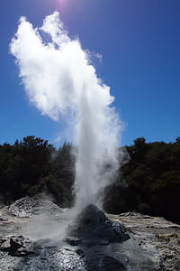 Rotorua, gejser, New Zealand, rengøringsmiddel, varm kilde, Nordøen, vulkan-området
