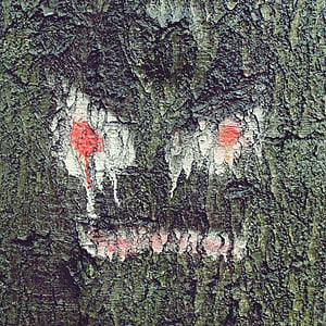 δέντρο, πρόσωπο, αρχείο καταγραφής, πρόσωπο δέντρου, φύση, ξύλο, φλοιός