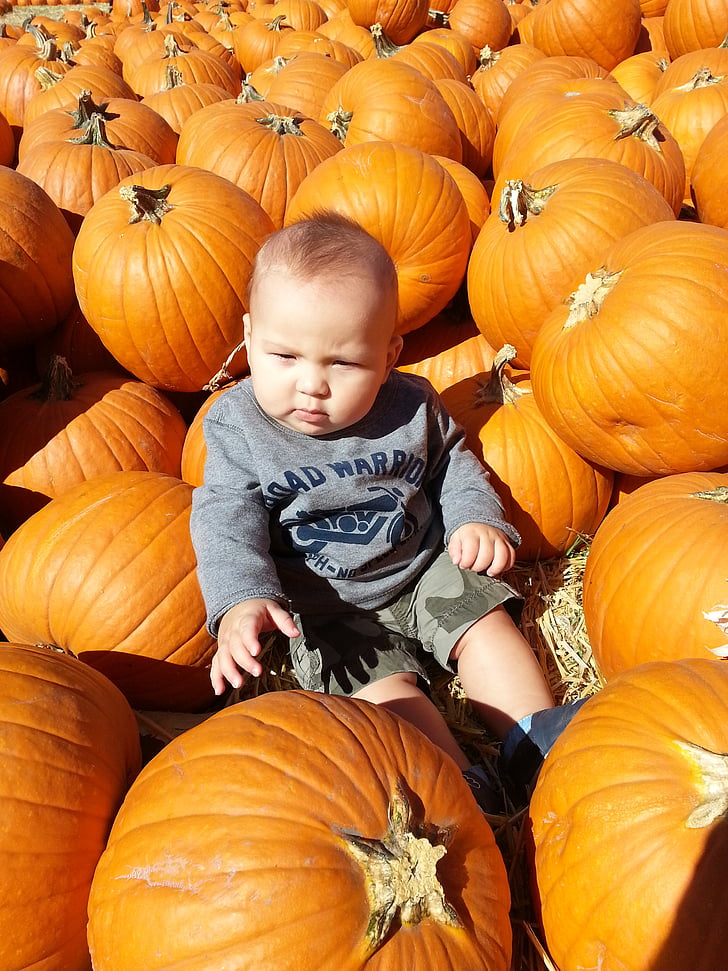 sütőtök, kisgyermek, baba, gyermek, Halloween, Pumpkin patch, Farm