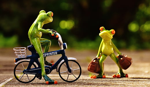 con ếch, đến nơi, xe đạp, holdall, đi du lịch, Dễ thương, ếch