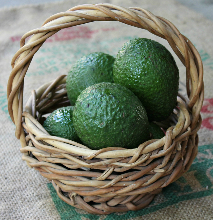 avocado, basket, health, food, organic, green, diet