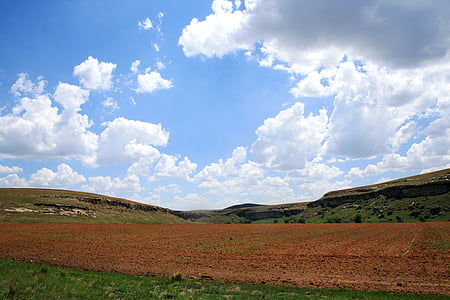 field, tilled, ploughed, land, farm, red soil, earth