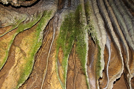 Moss, cal, de la cueva, piedra, roca, agua