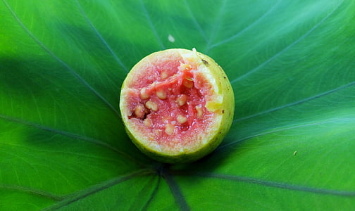 red guava, leaf, green, fruit, nature, freshness, food