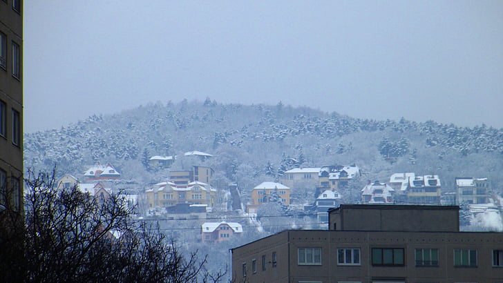 sniega, kalns, ziemas, Budapešta