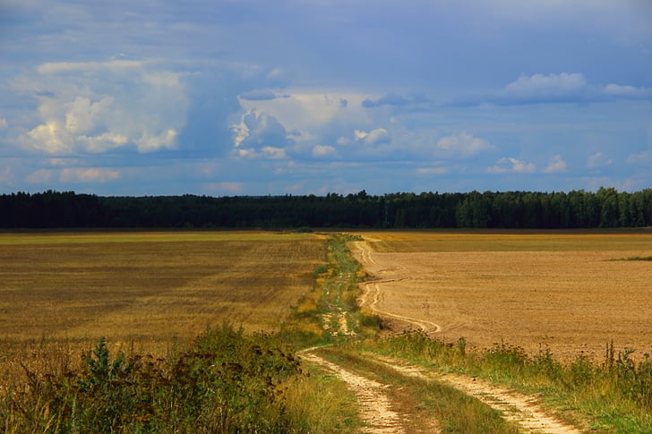 Road, suvel, Venemaa, maastik, foto, küla, pilved