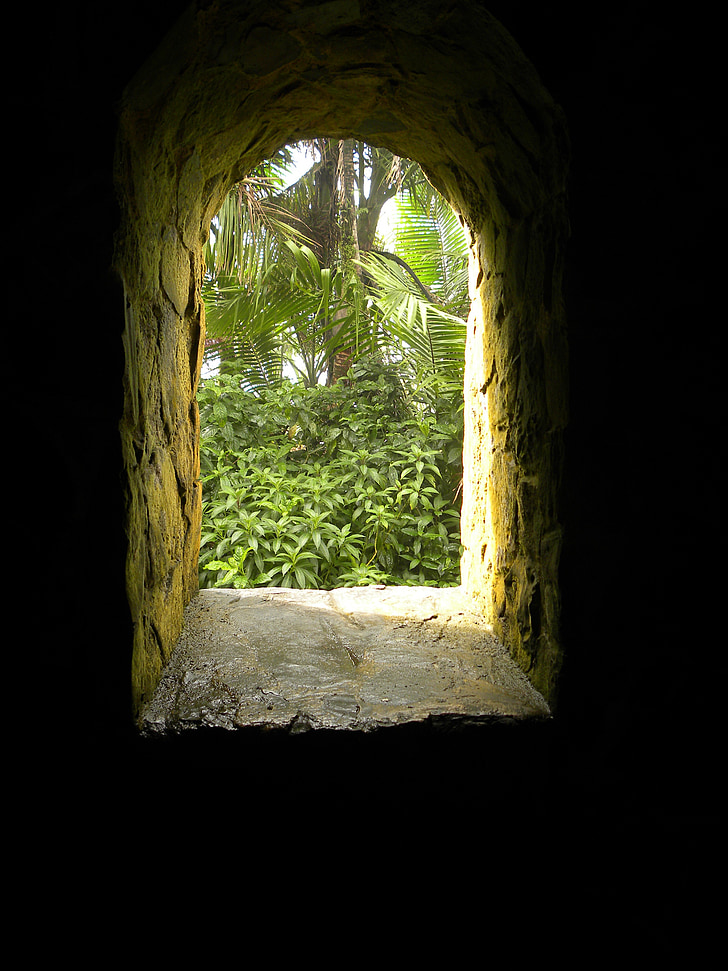 đá, tuổi, rêu, màu xanh lá cây, Puerto rico, cửa sổ, cổng thông tin