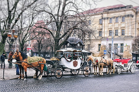 action, architecture, buildings, business, carriage, cart, cavalry