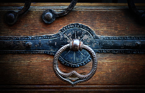 doorknocker, door, door handle, thumper, wooden door, art nouveau, door lock