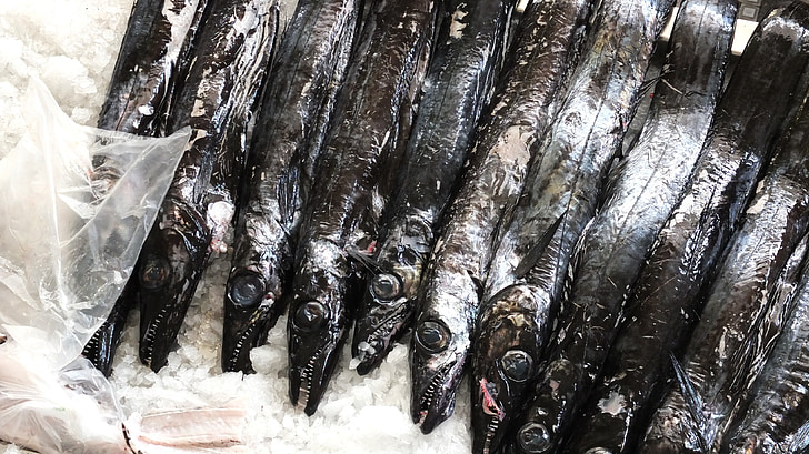 ปลา, น้ำแข็ง, อาหาร, อาหารทะเล, ปลาสีดำ, สีดำ, ตลาด