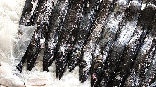 pescado, hielo, alimentos, pescados y mariscos, pez negro, negro, mercado