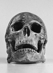 kaukolė, spalva, dantys, žmogaus kaukolė, juoda ir balta, žmogaus kaulų, koncepcijas ir idėjas