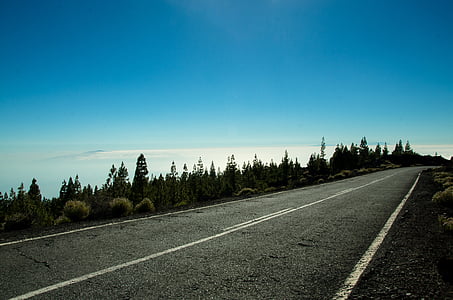 highway, landscape, tenerife, beauty, nature, holidays, the national park