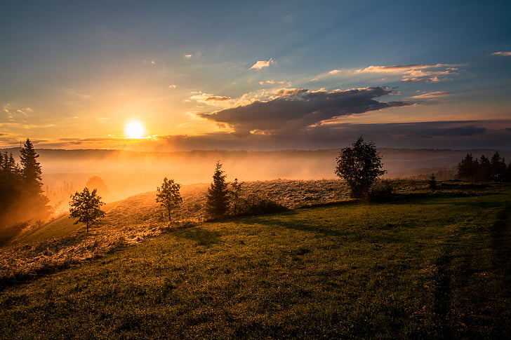 Dawn, soumraku, mlha, tráva, krajina, mlha, Příroda