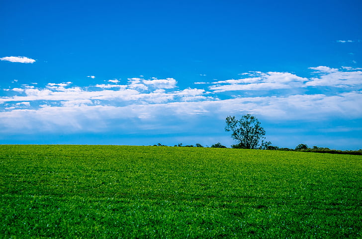 landscape, grass, sky, field, countryside