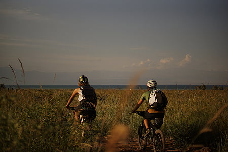 avventura, biciclette, motociclisti, biciclette, campo di grano, ciclisti, divertimento
