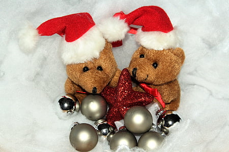 Crăciun, Crăciun Ursul, zăpadă, Ajunul Crăciunului, timp de Crăciun, Ambasada, felicitare de Crăciun