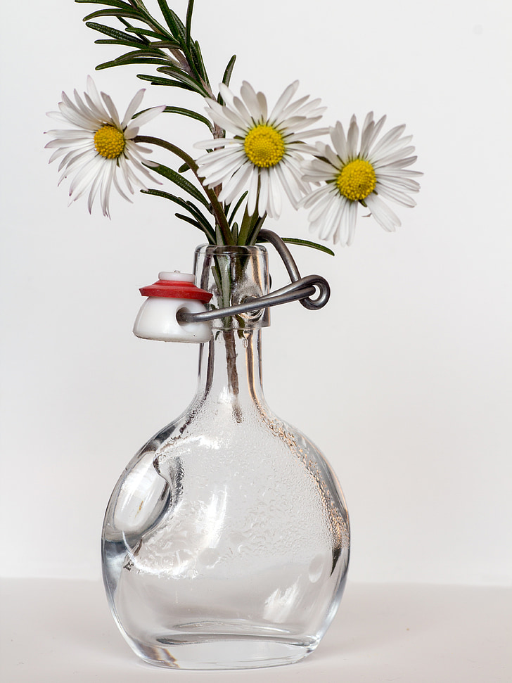 daisy, bottle, rosemary, vase, flower, decoration, bouquet