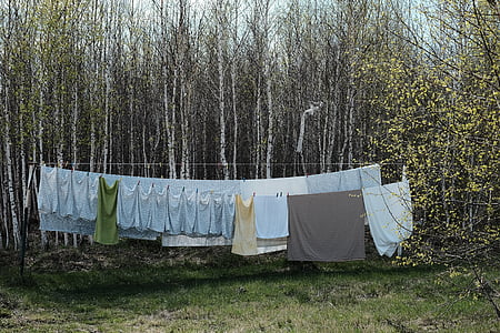 dvorek, oblečení, sušení prádla, šňůru na prádlo, stromy