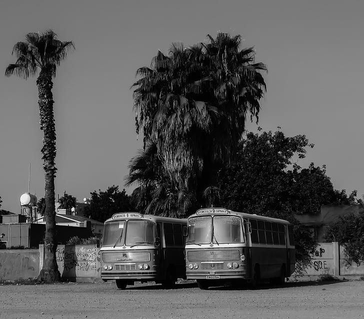 buses, old, vintage, city, vehicle, car, urban