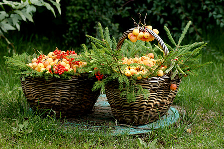 miško, krepšys, obuoliai, vasaros, gėlės