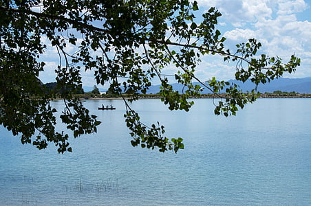 호수, 카누, 잎, 블루, 구름, 스카이, 자연