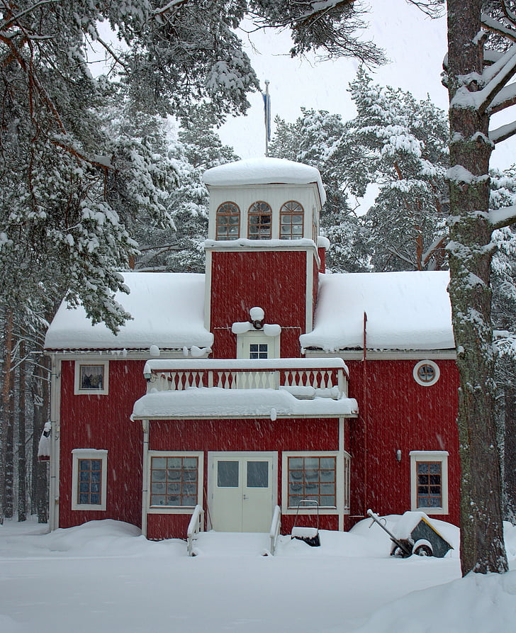 ฟินแลนด์, อาคาร, คริสตจักร, ฤดูหนาว, หิมะ, ต้นไม้, พายุ