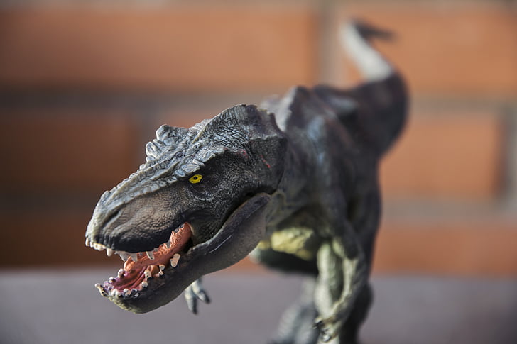 Игрушки, Детские игрушки, Тираннозавр, динозавр, t-rex, тиранозавр Рекс