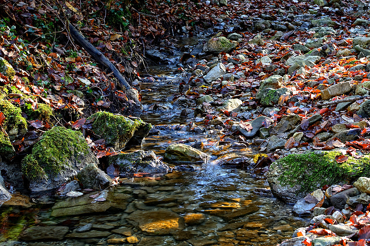 bach, stream bed, nature, water, stones, out, silent